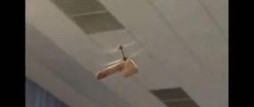 Dildo-copter used as political disruptor